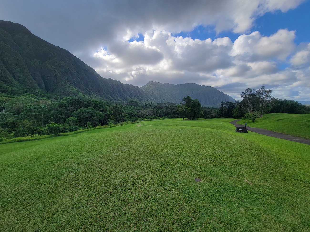 grassy green hill with mountains in the background